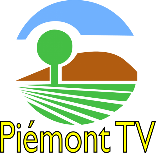 logo PTV dyn